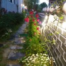 마음꽃하우스 민박 이미지