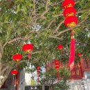 宮 | 칭다오 천후궁(天后宮) 후기: 역사와 마조 신앙을 느낄 수 있는 중국 사원