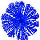 2. Long life chilled 식품의 변패 원인균 Paenibacillus 속균의 성상 조사 이미지