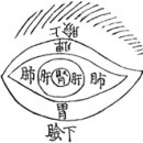 대성한의원 이미지