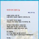 5월1째주 선정작(아카시아)--곽기영 이미지