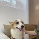 봉구세차장 이미지