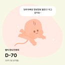 이인우체국 | [30-31주] 정기검진 / 백일해주사 접종 / 자궁경부길이 짧아짐 이슈 / 철분주사 / 만삭사진 찍기