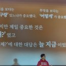 비채투어