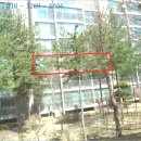 덕진-115 이미지