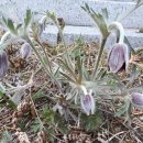 으뜸농약 이미지