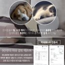 5852 | 관저동 유니크침대 가구 배송후기