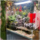 티파니 | 백운호수주차카페 찾는다면, 아기와 다녀온 네이처티파니 후기