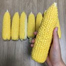 딜리푸드 초당옥수수 구매후기