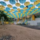 카페더숲 이미지