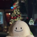 뉴목화 미용실 | , 미틈달