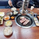 금빛한돈 이미지