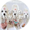 야이노마 네이버블로그