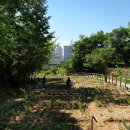 광진농장 이미지