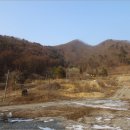 정선컨설팅