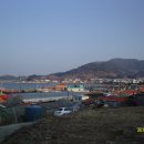 라본비 이미지