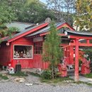 (주)이센 신사지점 | 고치 여행 🌳 요사코이 이나리 신사(よさこい稲荷神社)