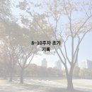 민트요양병원 | 임신 8~10주차 일기 (친정에서 요양하기, 국민행복카드 발급, 산후관리사 예약)