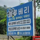 채원농장 이미지