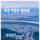 부산 어린이대공원-백양산-운수사 가을나들이 이미지