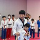 늘 해랑 태권도장 네이버블로그