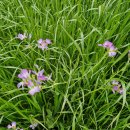 오름농장 이미지