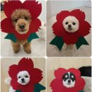곰앤앙 이미지