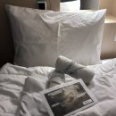 디어문 하우스 | [부산] 내돈내산 | 부산 자갈치역 파티없는 조용한 가성비 게스트하우스 <디어문 게스트하우스> 1박 후기