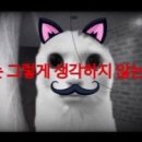 고일 이미지