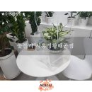 시흥 배곧 꽃집에서 찾은 완벽한 어버이날 선물! 꽃블리 시흥정왕배곧점 카네이션 용돈 꽃다발 추천!