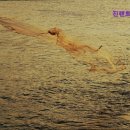 강원도 강릉 렌트카 렌트 추천 진렌트카 강릉영업소 강릉 렌트카의 새로운 선택
