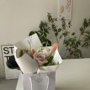 위티스튜디오 이미지