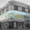 통일애견 이미지