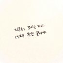 디아이피 이미지