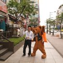 타르트곰 이미지