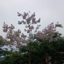 임실치즈마을 이미지