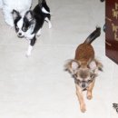 동이네집 이미지