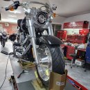 펫크루즈 이미지