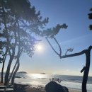 GS25 동해북평시장점 | 보령 여행] 프라이빗한 오션뷰 보령 독채 펜션, 라바풀빌라 후기!(아이랑 가볼만한 곳 키즈 펜션 강추)