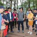 식장산 숲길 이미지