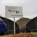 승지골농장 이미지