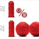 태권슐레 이미지