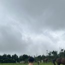 우현목장 이미지