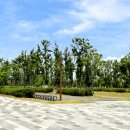 세종중앙공원 이미지