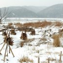 우림건설 | 우림산악회 1월 운길산 정기산행 후기