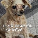 키움 동물병원 이미지