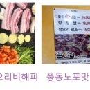 돈오리비해피