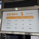 철새박물관 | (서산가볼만한곳) 아이들과 함께 떠나는 철새 여행, 서산 버드랜드 나들이