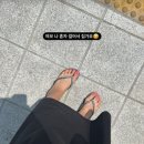 나없이는못살겠네 스포츠서울