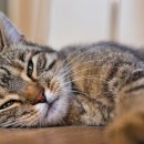 더쎈학원 이미지